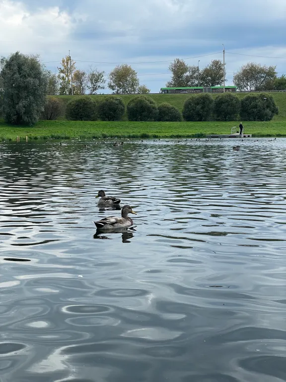 Просторная квартира в историческом центре города