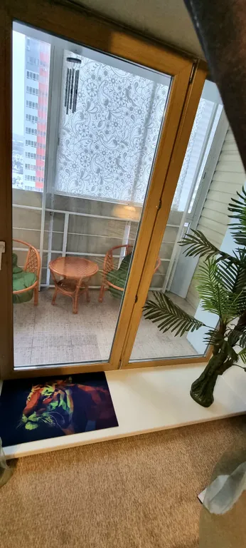 1-комнатный люкс с кухней студией