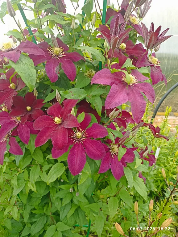 Просторный и уютный дом