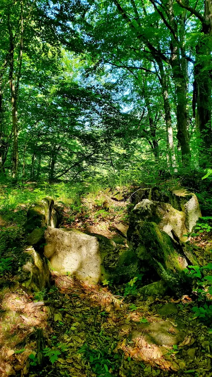 Барн-хаус | 4+1 гость | Лес, горная река, полное уединение