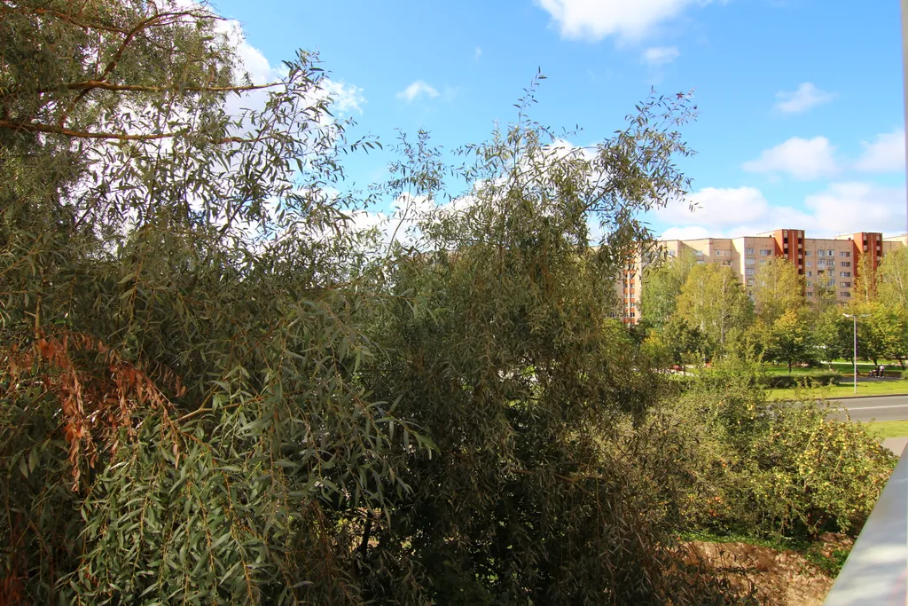 1-комнатная квартира премиум в центре города