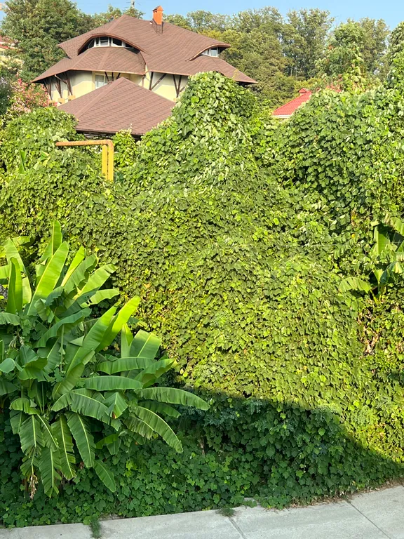 Квартира Квартира Студия возле океанариума — Адлер