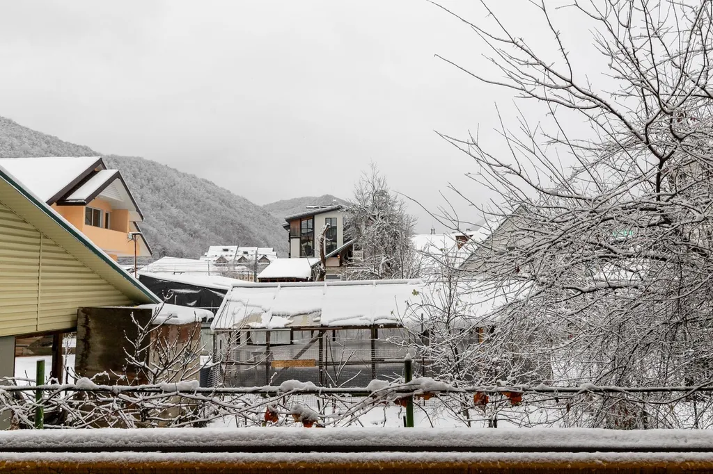 Квартира в центре