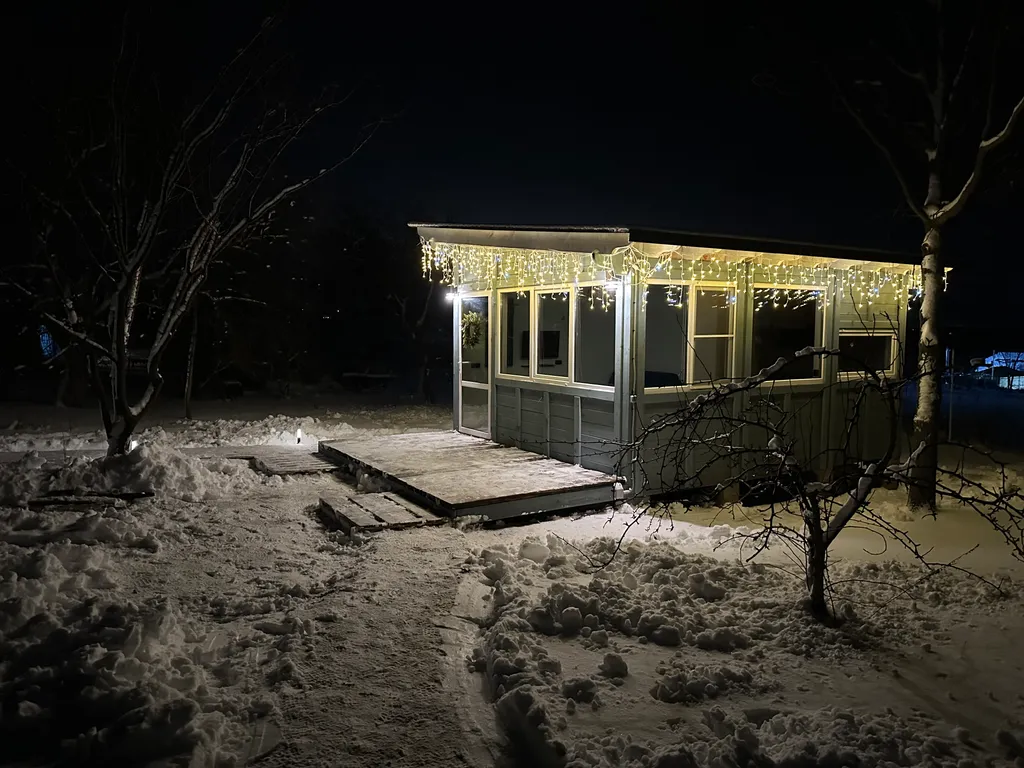 Дубки на Кудыкиной горе