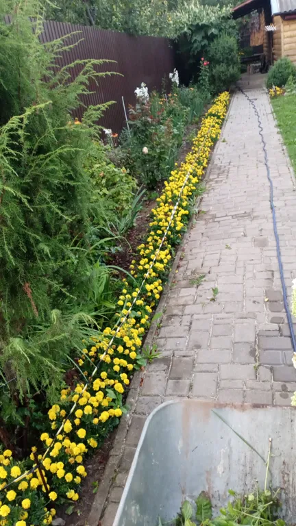 Дом у реки в Пскове