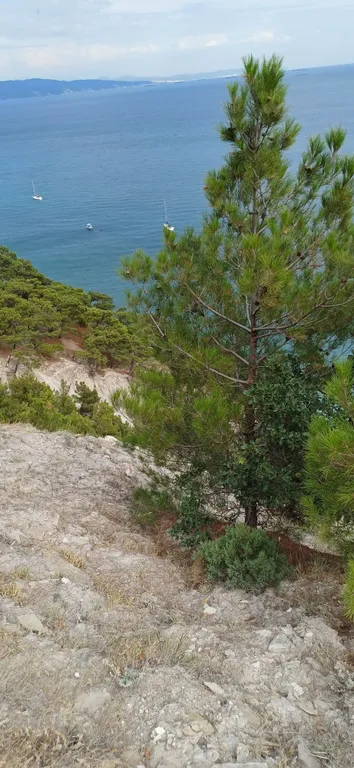 2-комнатная квартира на берегу моря