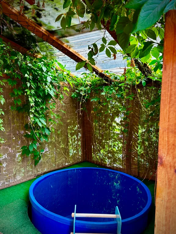 Коттедж Дом на берегу пруда — Бор