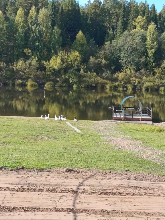 Дом с видом на реку