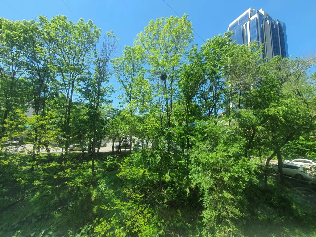 Студия на Гоголя