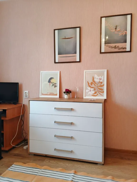 1 ком. квартира на Балтийском берегу