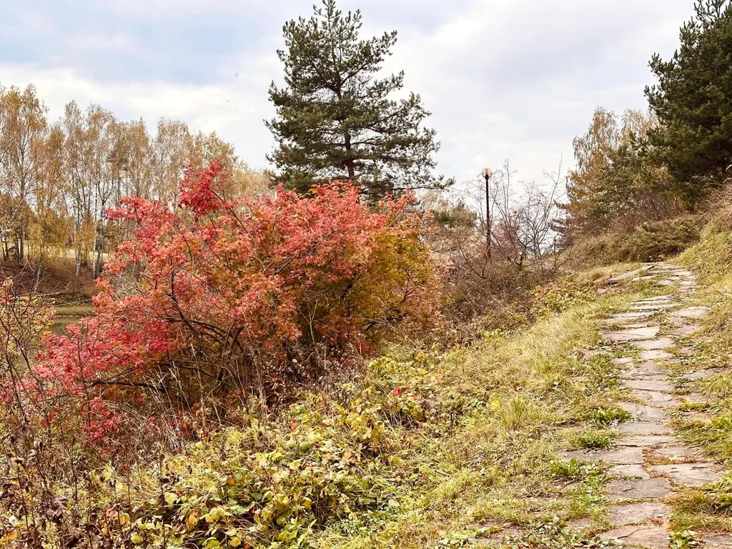 Эксклюзивный коттедж в поселке бизнес-класса