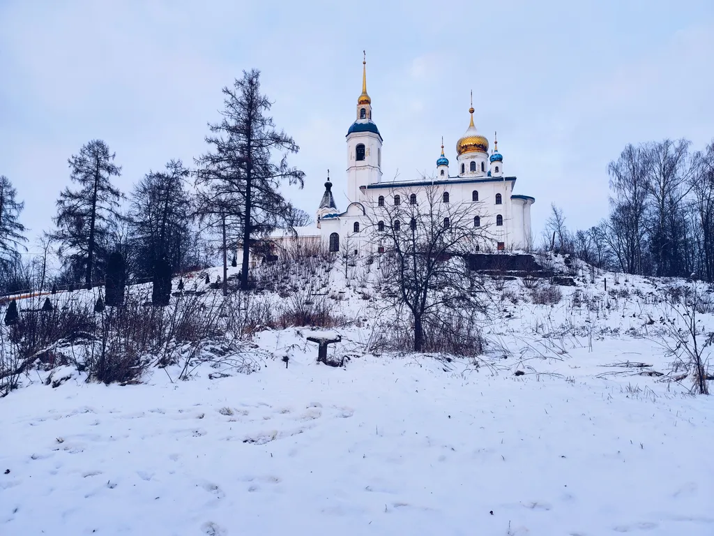 Коттедж Уютный дом с панорамным видом на лес — Луга