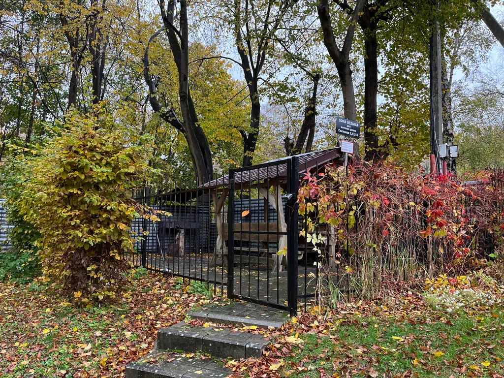 Квартира Квартира Янтарная долина — Светлогорск