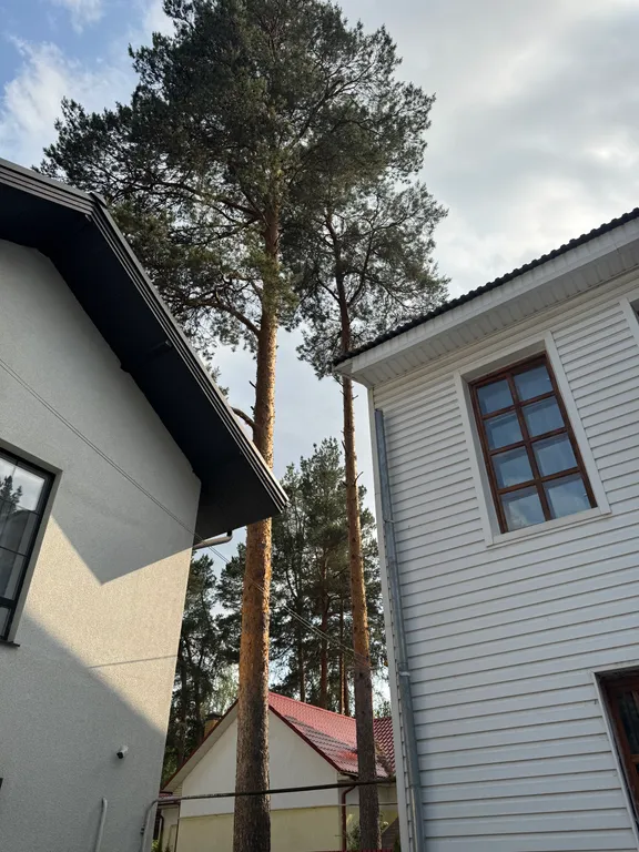 Уютный дом в Сосновом лесу