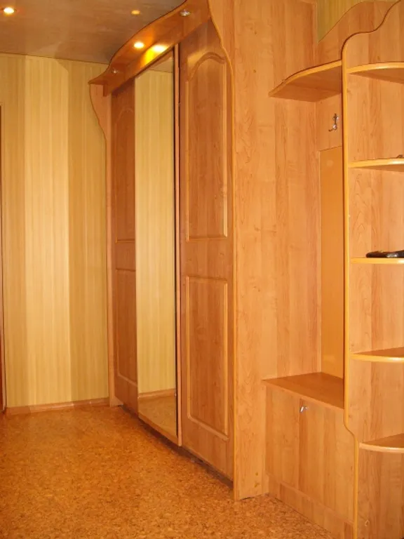 Уютная квартира в самом центре на пешеходной улице