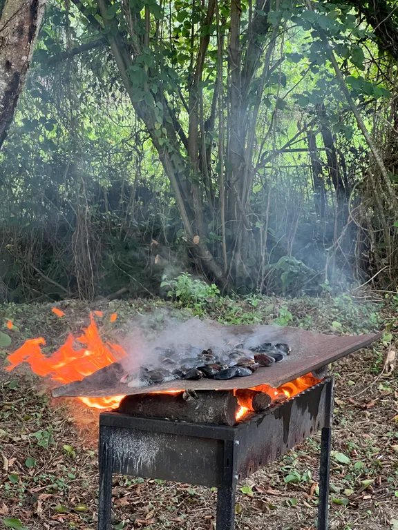 Коттедж 1-комнатный Дом — Сухум