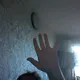 Владимир