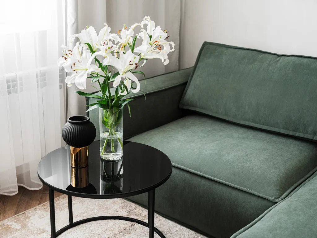 Двухкомнатные апартаменты напротив Оперного Театра с новым ремонтом