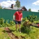 Антон