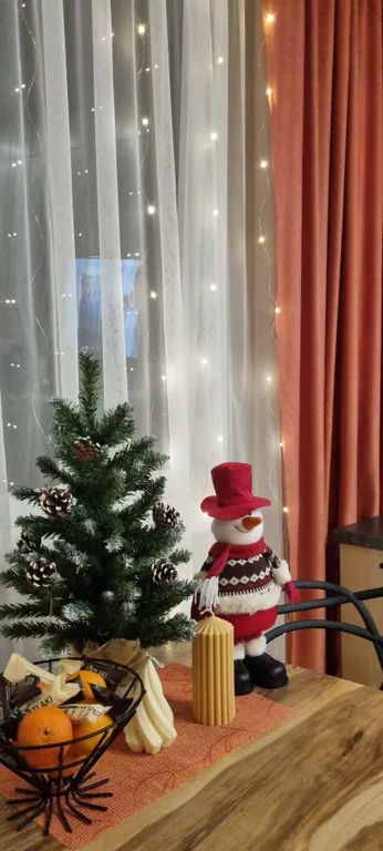 Квартира 1 комнатная квартира с террасой — Светлогорск