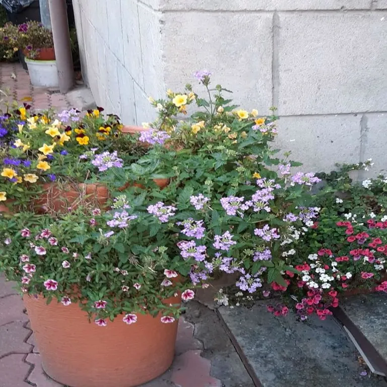 Привлекательный дом для отпуска