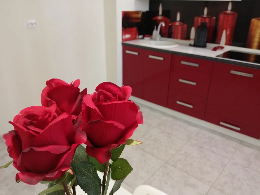 Квартира в Северном районе — аренда посуточно в Орёл