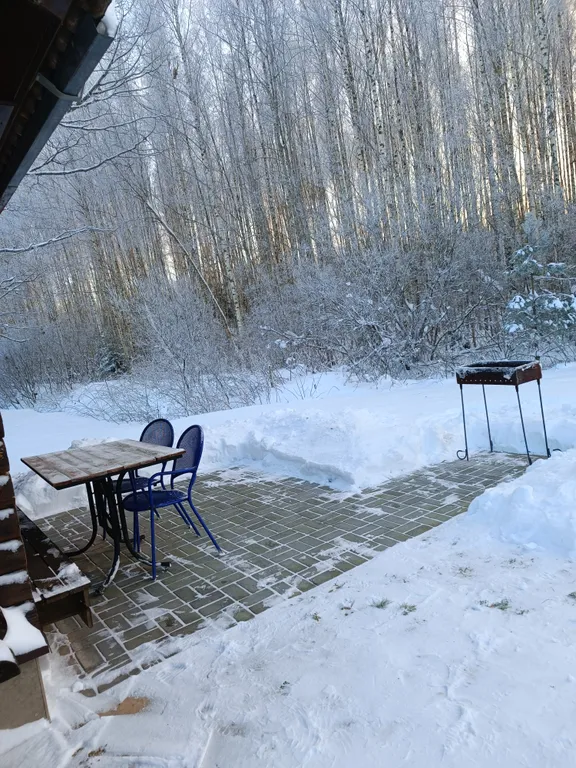 Дом у пруда