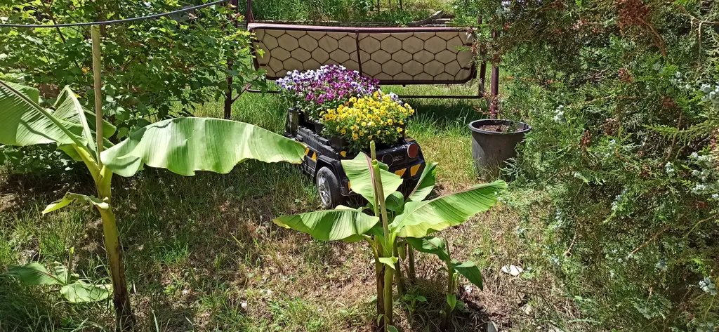 Апартаменты на Чёрном море