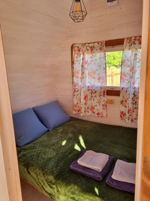 Дома возле Катуни среди гор