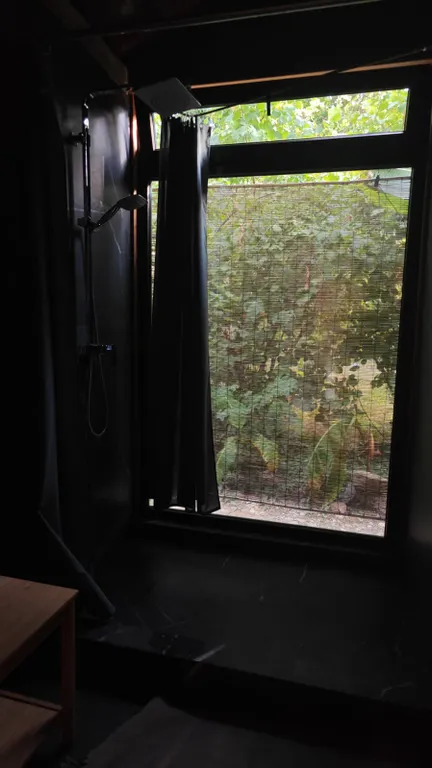 Большой дом