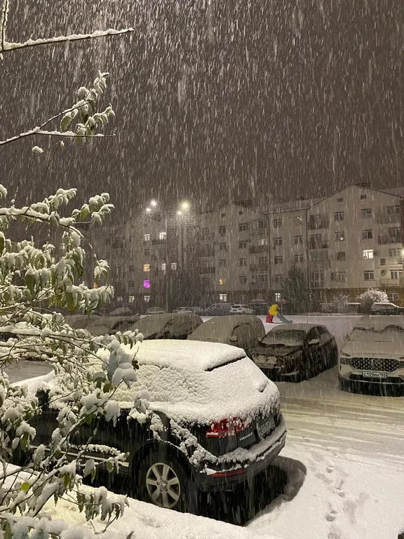 Белые горошины с видом на Marriott, горы, казино