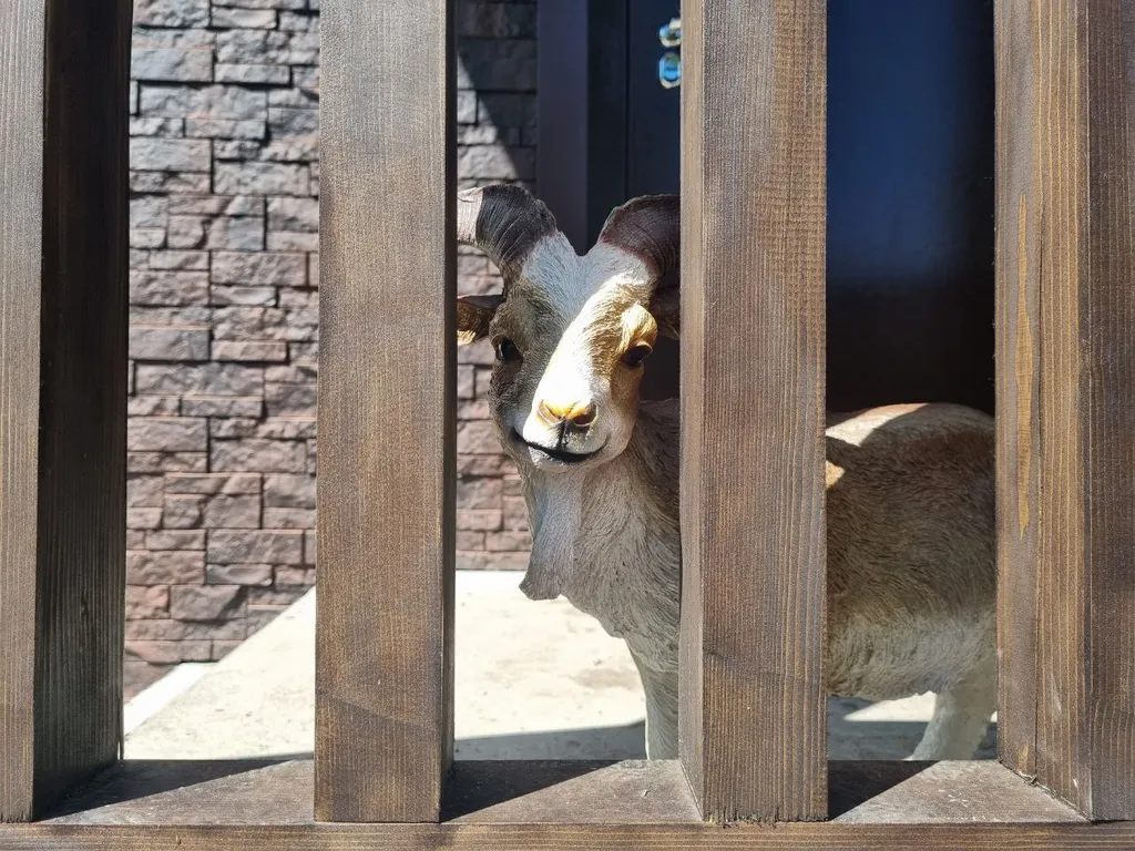 Зелёный дом на берегу Катуни с видом на реку и горы