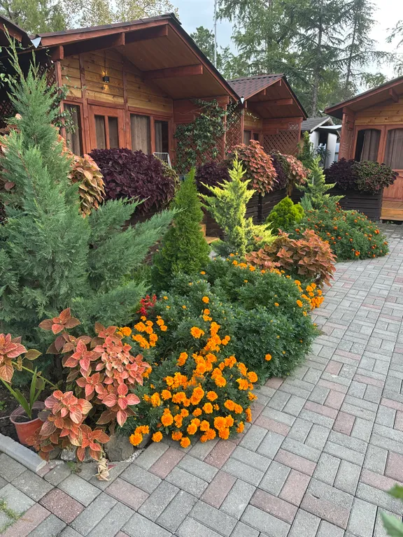 Коттедж 1-комнатный Дом — Гагра