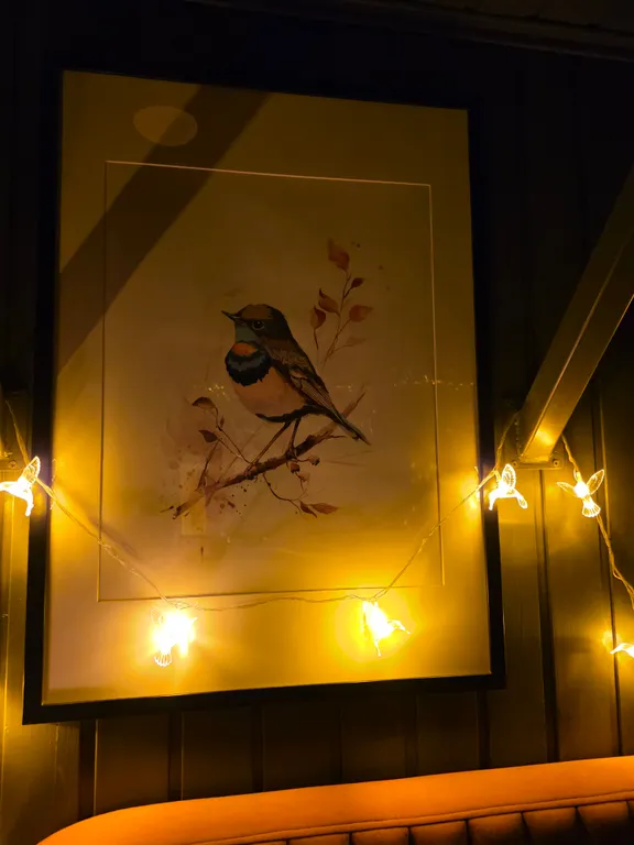 Новая сфера для глэмпинга Бёрд&Self vibe с дизайнерским интерьером