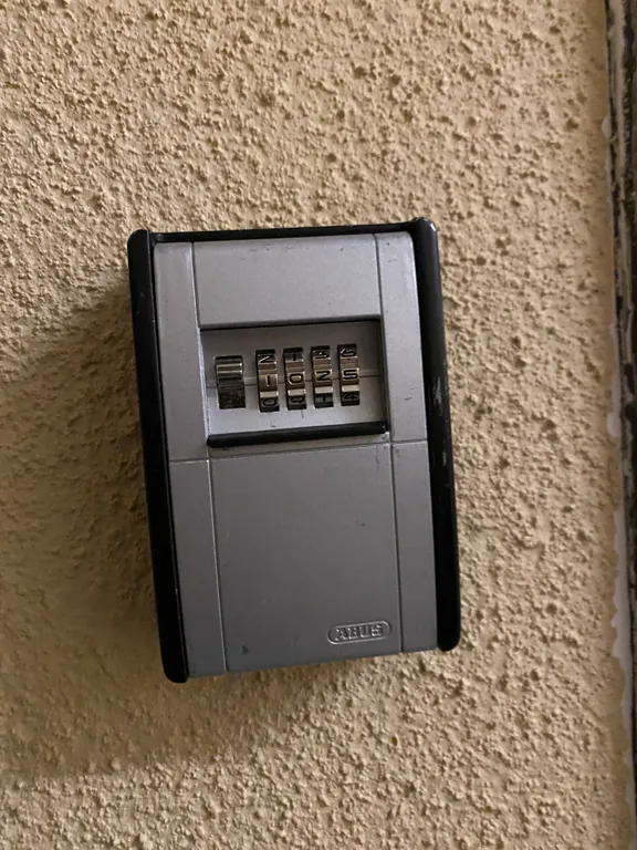 В лесной тиши