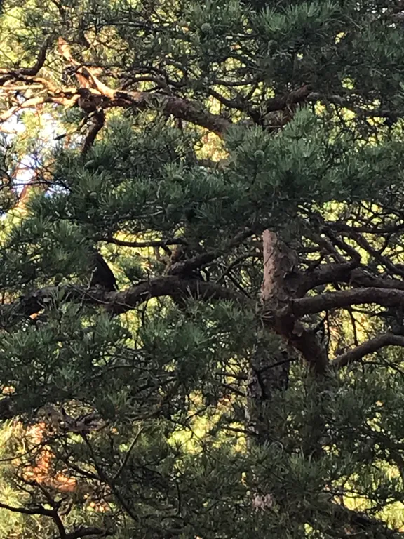 Квартира Апартаменты у озера Тихое — Светлогорск