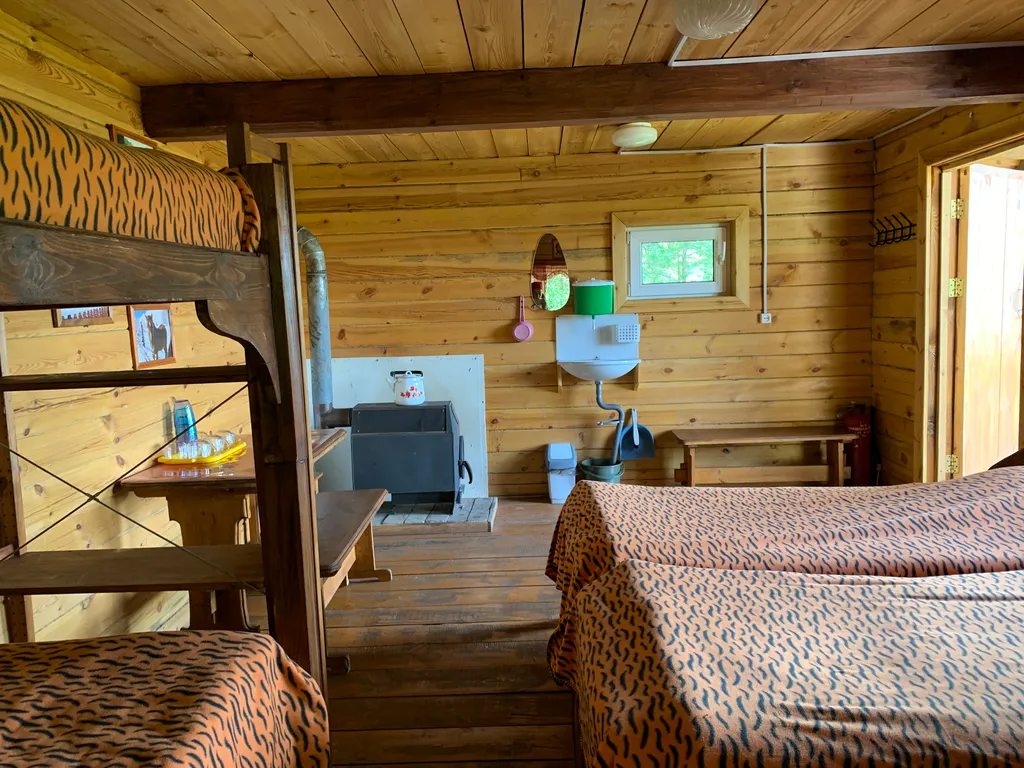 Уютные деревянные домики на Елани