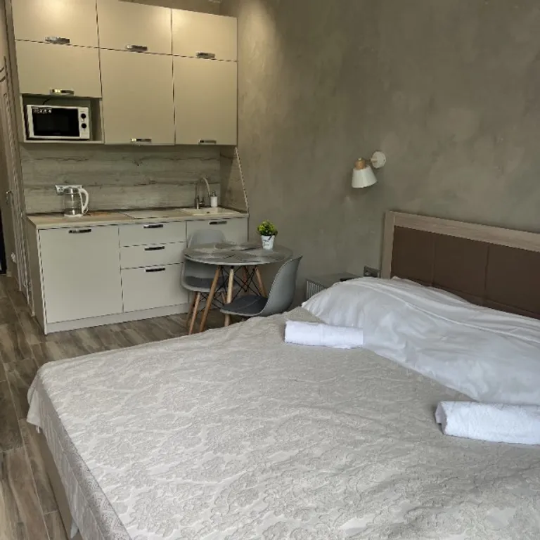 Уютные апартаменты с видом на горы