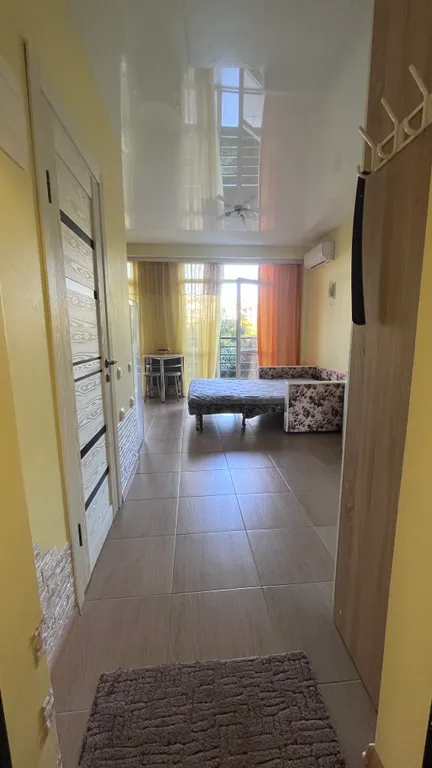 Студия в 700 м от моря сочифорния пляж, южные культуры