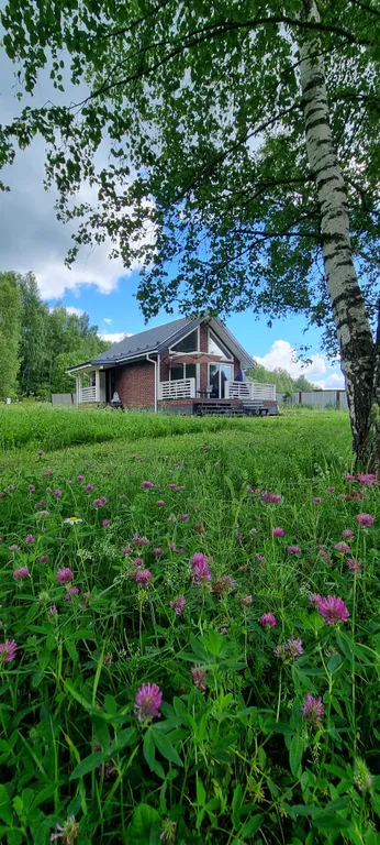 Дом у пруда в лесу