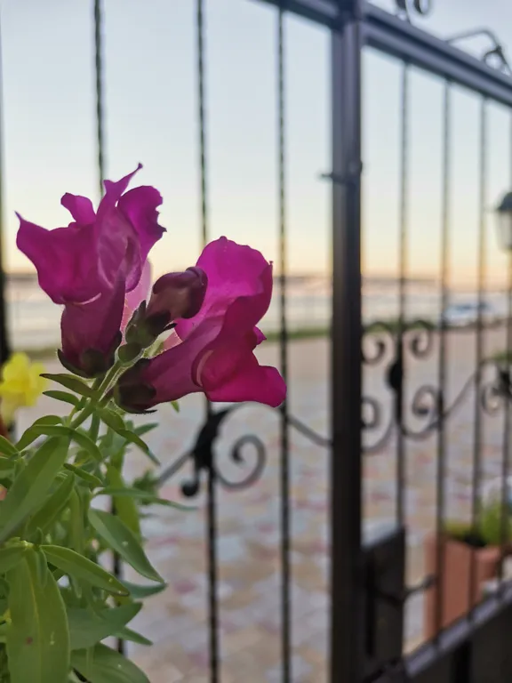 Дом возле моря