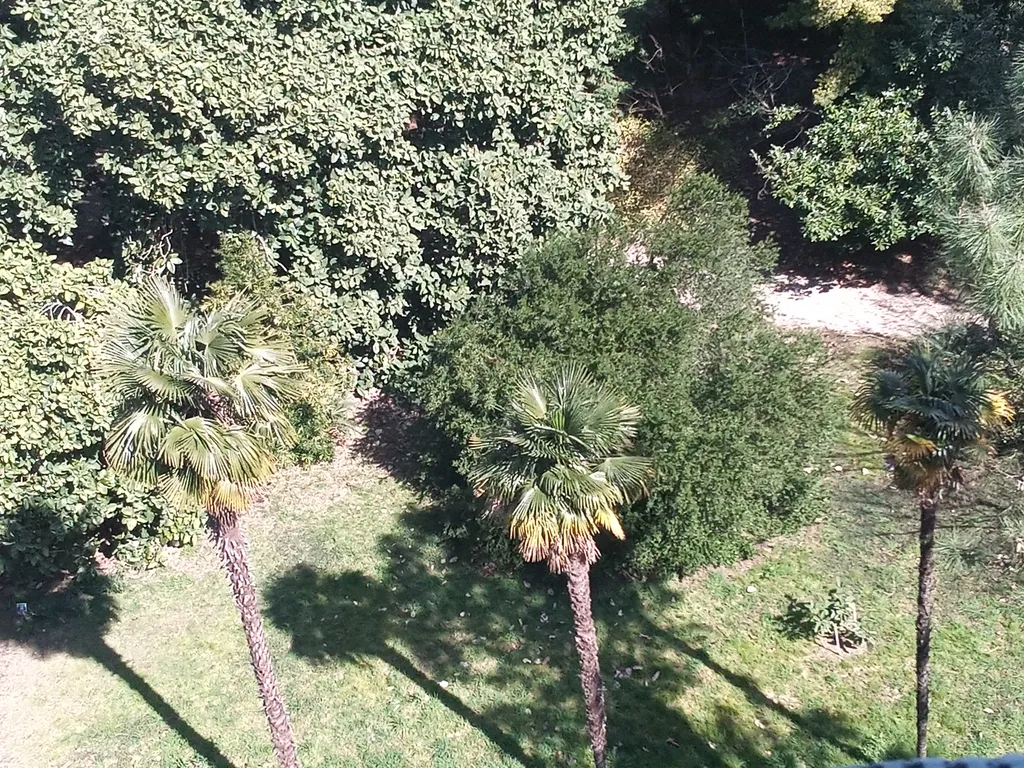 Квартира Квартира Добро пожаловать в Сириус — Сириус