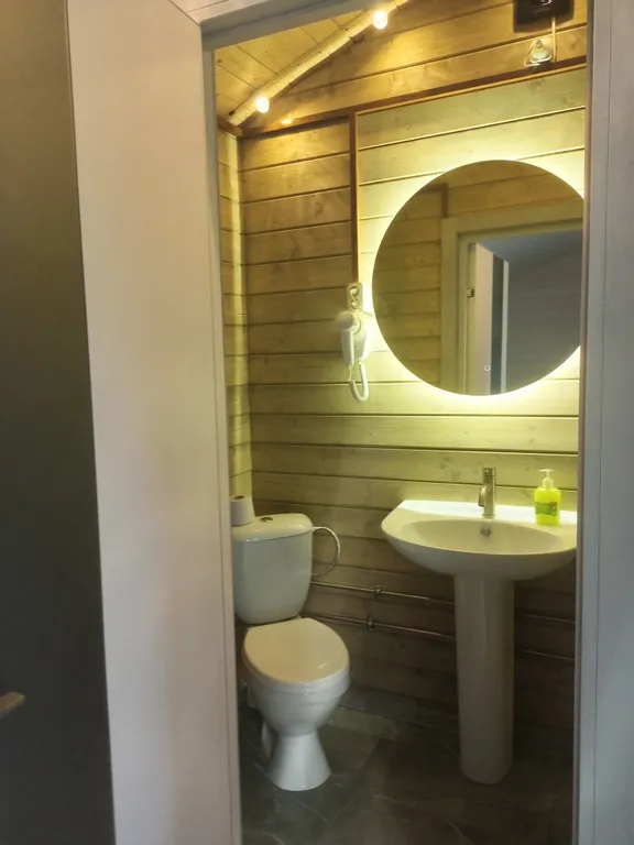 Новые домики среди векового леса на берегу Ладоги