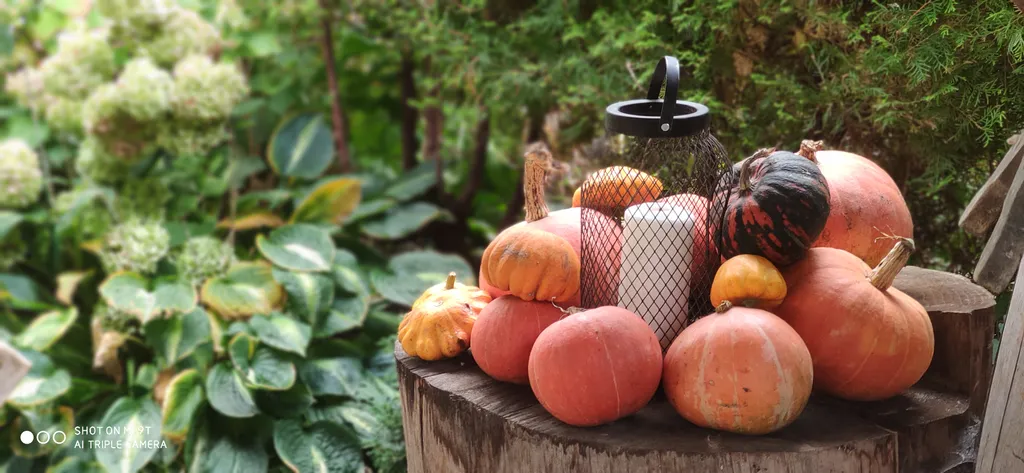 Студия в тихом уголке