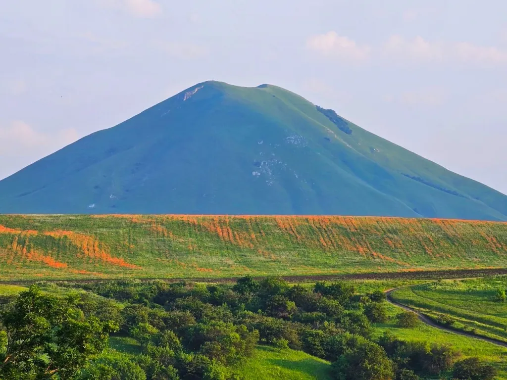 Арт Вилла Эклектика