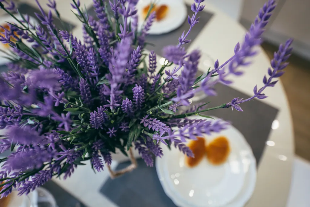 Квартира Olive marine resort с видом на море и большой террасой