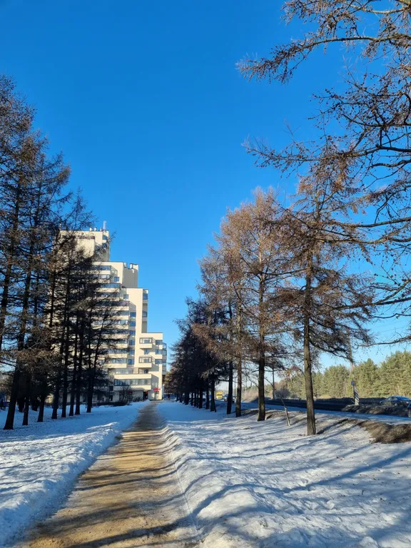 Комфортные апартаменты у озера