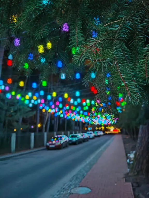 Исторический центр, Дом на дюне