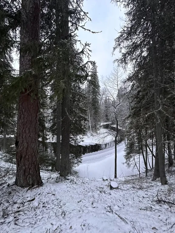 Уютный домик на берегу речки