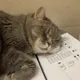 Саша